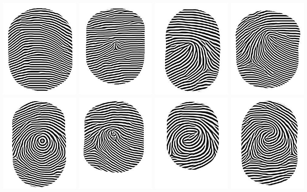 Eight fingerprints, one per pattern class.