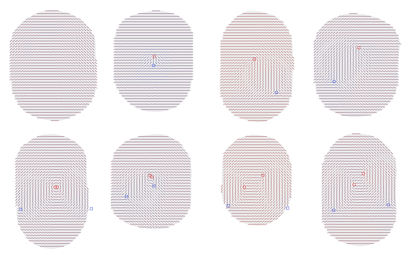 Orientation fields for the eight classes drawn as short strokes with cores and deltas marked.