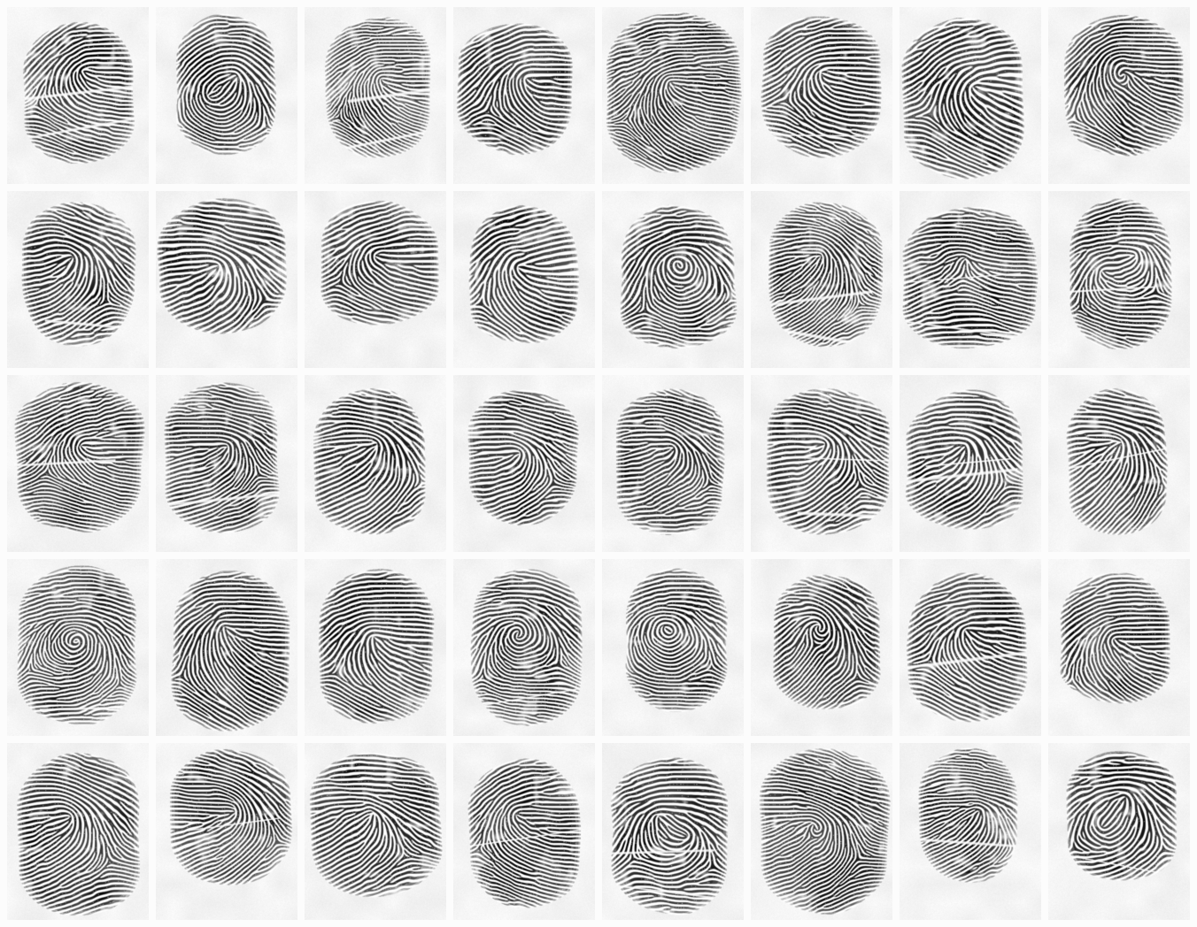 Forty synthetic fingerprints in a grid, each with a different ridge flow.